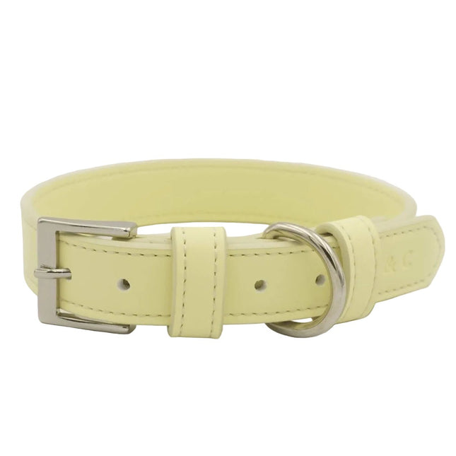 Yellow Lignify Dog Collar