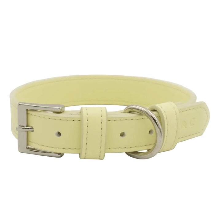 Yellow Lignify Dog Collar