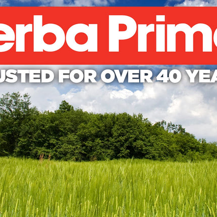 Yerba Prima Psyllium Husks Veg Caps – 4x180 Count | Vegan, Gluten Free, Non-GMO Fiber