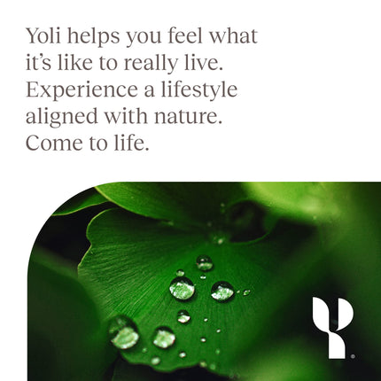 Yoli Defend - Supports Your Immunity And Boosts Your Immune Response at a Cellular Level