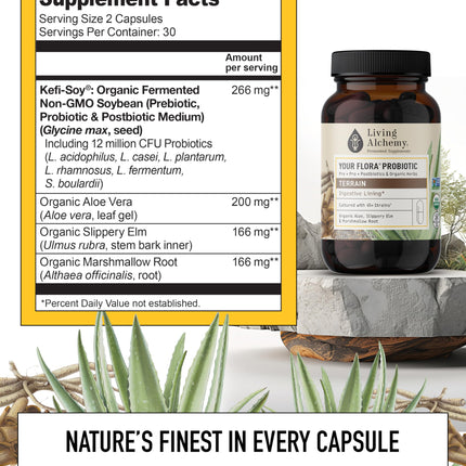 Your Flora Probiotic Terrain – Non-GMO Probiotics with Fermented Soybean, Aloe Vera, & Slippery Elm for Gut Balance & Digestion | Living Alchemy, 60 Pcs
