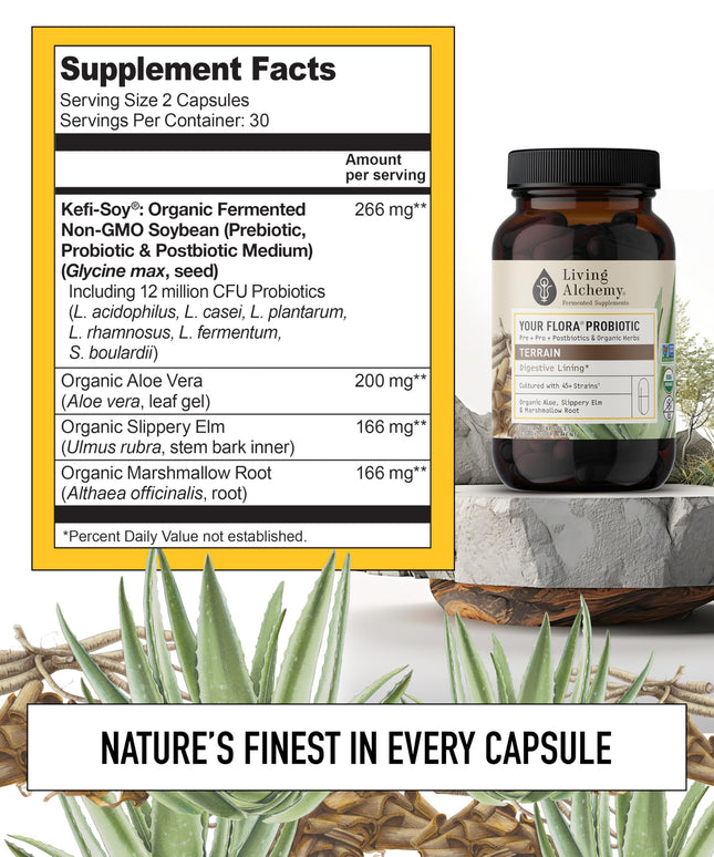 Your Flora Probiotic Terrain – Non-GMO Probiotics with Fermented Soybean, Aloe Vera, & Slippery Elm for Gut Balance & Digestion | Living Alchemy, 60 Pcs