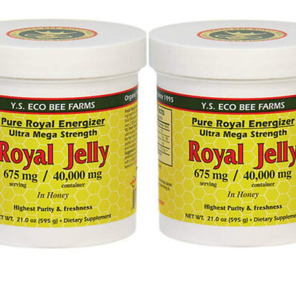 Y.S. Eco Bee Farms (2 Pack) Royal Jelly in Honey – 675 mg | 1.3 lbs (595 g) – Organic Royal Jelly